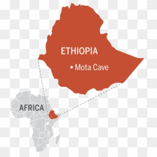 Original Image - Ethiopia Map Vector, HD Png Download