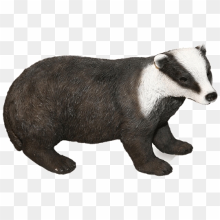 Badger Figurine - Animals Transparent Background, HD Png Download