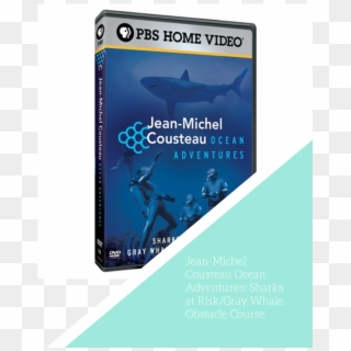 Jean-michel Cousteau Ocean Adventures - Great White Shark, HD Png Download