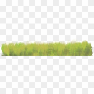 #grass #texture #freetoedit - Sweet Grass, HD Png Download