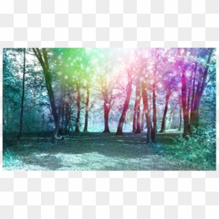 Home / Magical Trees Background - Grove, HD Png Download