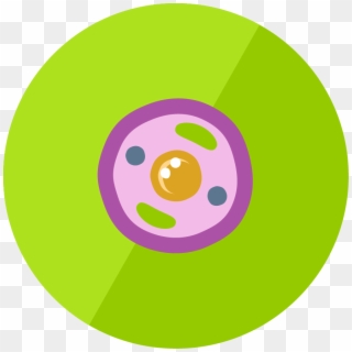 Animal Cell Icon Png , Png Download - Eukaryotic Cell Png Icon, Transparent Png