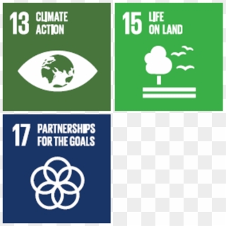 Deforestation Of High Carbon Stock Forests And Peat - Sdg 17 Partnership For The Goals, HD Png Download