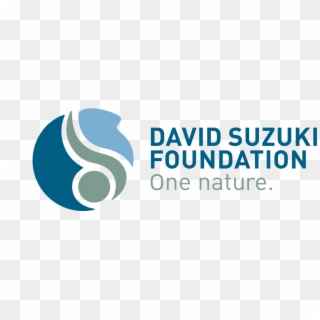 David Suzuki Foundation - David Suzuki Foundation Logo Png, Transparent Png