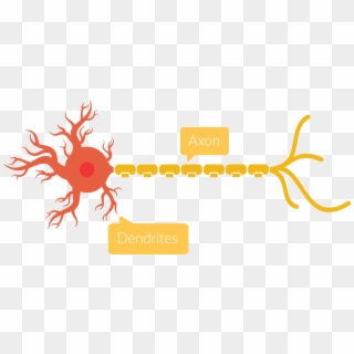 A Very Rough Schematic Of A Neuron, HD Png Download