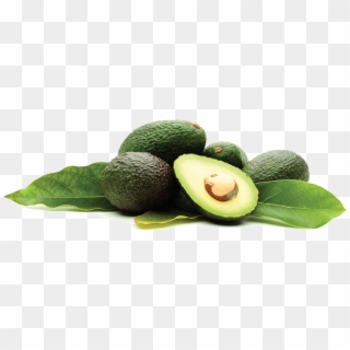 X - Frutto Tropicale Verde, HD Png Download