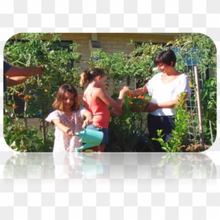 Family Planting Vegetables In The Garden, HD Png Download