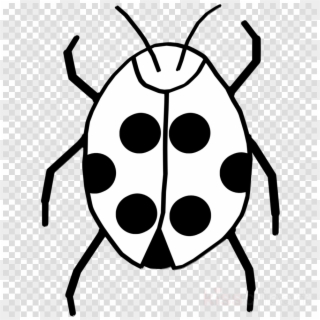 Download Of Bug Black And White Clipart Beetle Clip - Amazing Spider Man Png, Transparent Png