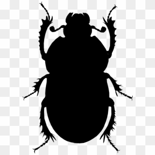 Beetle Clipart, HD Png Download