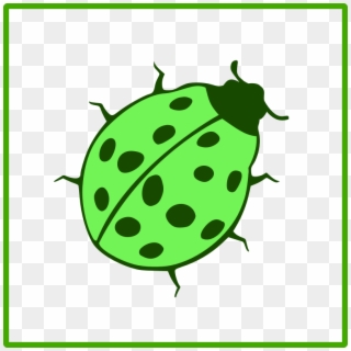 Beetle Icon Png, Transparent Png