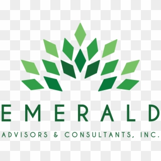 Green Seal > About Green Seal > P, Nerships - E Green Logo Png, Transparent Png