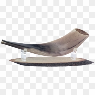 Shofar Wooden With Lucite Stand, Christian, Holy Land, - Long Track Speed Skating, HD Png Download