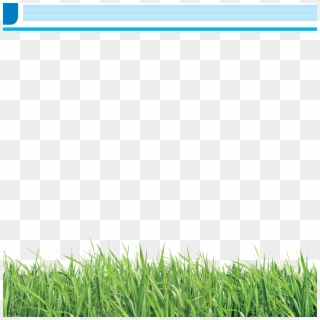 Brochure, School, Grass, Lawn, Meadow Png Image With - Border For Brochure, Transparent Png