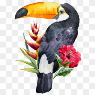 Coming Up At Claptrap - Toucan Watercolor Clipart, HD Png Download
