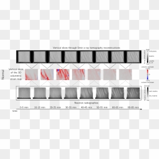 Images/elenicoxneutrons - Architecture, HD Png Download