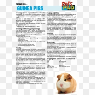 Pet Information Page - Brown Hamster, HD Png Download