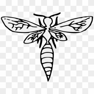 Details, Png, Svg, Transparent Png