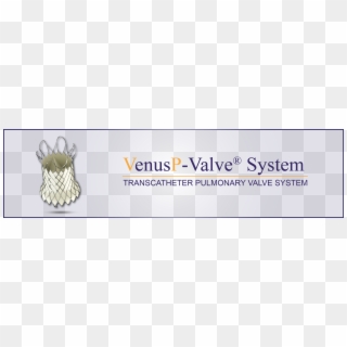 Venusp-valve® System - Tan, HD Png Download