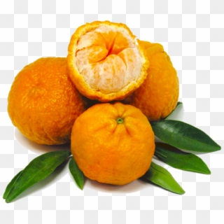 Organic Golden Nugget Mandarin - Rangpur, HD Png Download