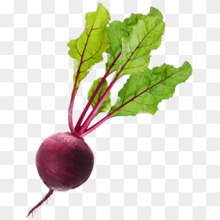 Beets Png - Beetroot With Leaves, Transparent Png