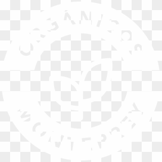 Cranial Technologies Logo, HD Png Download