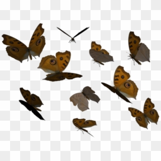 Monarch Butterfly Clipart Png Full Hd - Butterfly Collection, Transparent Png