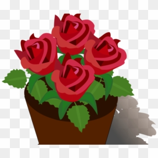 Flowerpots Clipart Rose - Rose Flower Pot Drawing, HD Png Download