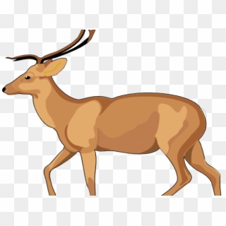 Deer Clipart Antelope - Debden Park High School, HD Png Download
