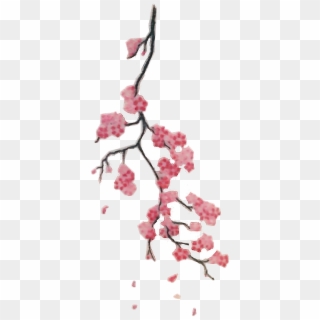 Report Abuse Small Cherry Blossom Branch Tattoo Hd Png Download 446x998 6666140 Pngfind