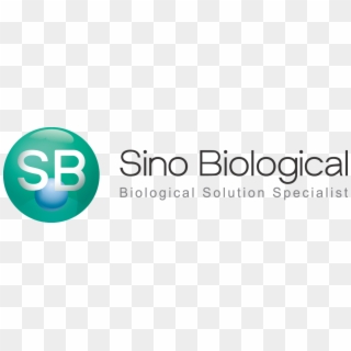Sino Biological Logo Png - Sino Biological, Transparent Png