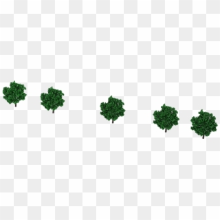 Site Plan Trees Png - Tree, Transparent Png