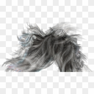 Men Hair PNG Transparent For Free Download - PngFind