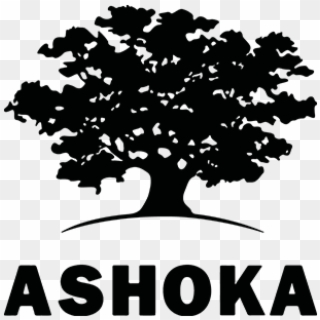 Ashoka Spain - Ashoka Africa Young Changemakers, HD Png Download