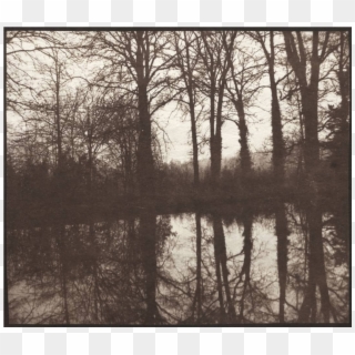 Additionally, We Will Consult The Photography Collections - [winter Trees, Reflected In A Pond], HD Png Download