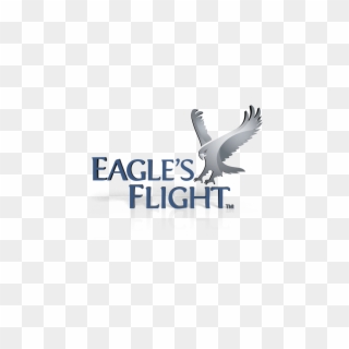 Want To Become An Eagle's Flight Global Licensee - Seabird, HD Png Download