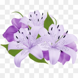 Lily Clipart Sea Flower - Purple Flowers Clipart Png, Transparent Png