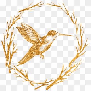 Transparent Png