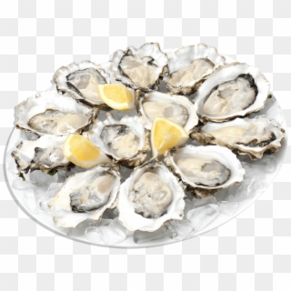 Food - Seafood - Oysters Png, Transparent Png
