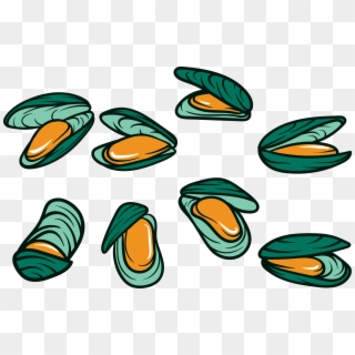 Clip Art Free Download Mussel Clipart Free On - Mussel Cartoon, HD Png Download