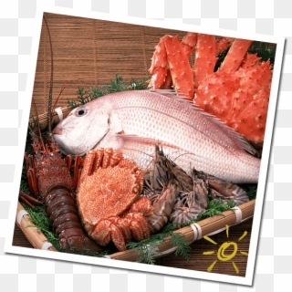 Seafood - Balık Ve Deniz Ürünleri, HD Png Download
