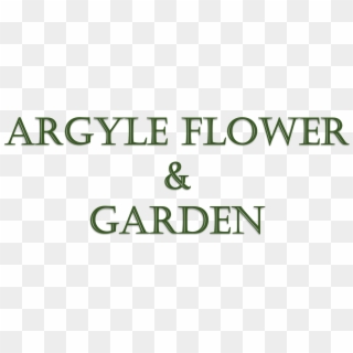 Argyle Flower & Garden - Calligraphy, HD Png Download
