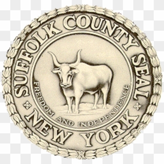 Arizona Team - Suffolk County New York Logo, HD Png Download