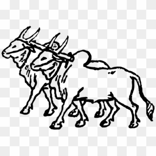 Two Oxen Variante - Drawing Of A With Bullock Cart, HD Png Download