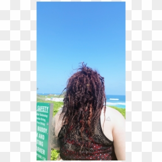 Dreads Hair For Free Download On Mbtskoudsalg Png Roblox