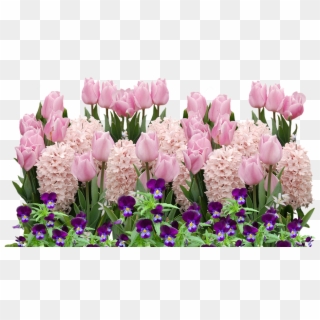 Spring, Tulips, Easter, Flower, Flowers, Spring Flower - Easter Flowers Png, Transparent Png