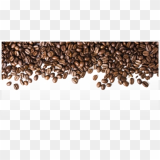 Seed Clipart Kopi - Coffee Beans Transparent Png, Png Download