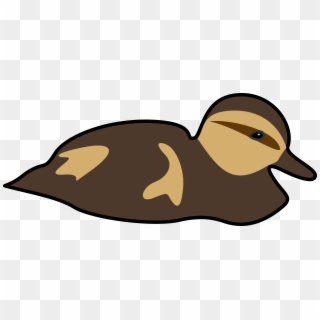 This Free Icons Png Design Of Swimming Duckling, Transparent Png