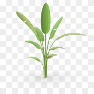 View In My Picture - Houseplant, HD Png Download