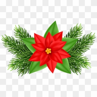 Free Png Christmas Poinsettia Deco Png Images Transparent - Poinsettia Christmas Flower Clipart, Png Download
