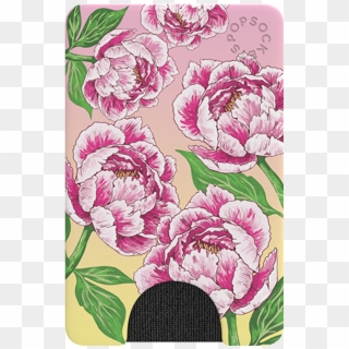 Popwallet Peony Paradise, HD Png Download
